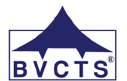 bvtcs-logo